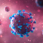 В Пензенской области за сутки выявили 283 новых случая коронавируса