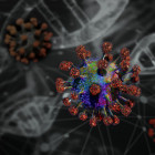 За сутки в 2 городах и 21 районе Пензенской области обнаружили коронавирус