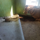Дело об аварийном жилье для сирот Башмаковского района передали в суд
