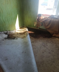 Дело об аварийном жилье для сирот Башмаковского района передали в суд