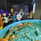 Ольга Чистякова организовала экскурсию в океанариум для детей Донбасса