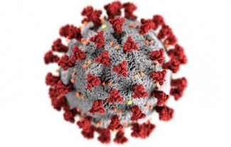 В Пензенской области за сутки выявили 263 новых случая коронавируса
