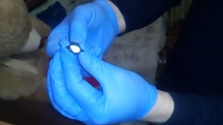 В Пензе у молодого парня обнаружили психотропное вещество