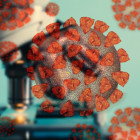 В Пензенской области за сутки выявили 233 новых случая коронавируса