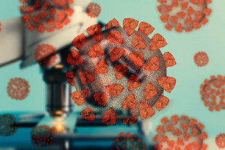 В Пензенской области за сутки выявили 233 новых случая коронавируса