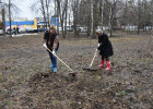 Пензенские чиновники привели в порядок зеленую зону на улице Карпинского 