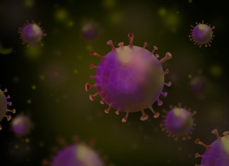 В Пензенской области за сутки выявили 138 новых случаев коронавируса