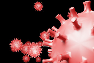 В Пензенской области за сутки выявили 141 новый случай коронавируса
