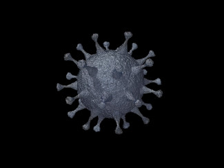 В Пензенской области за сутки выявили 94 новых случая коронавируса