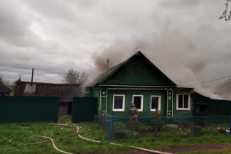 Пожар в селе под Пензой тушили 12 человек