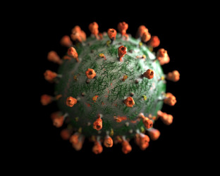 В Пензенской области за сутки выявили 81 новый случай коронавируса