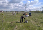 В Первомайском районе Пензы провели экологическую акцию