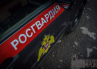 «Мясная разборка» на пензенском рынке: пострадала женщина-продавец