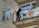 В Пензе мужчина сорвался с балкона дома на улице Экспериментальной