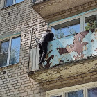 В Пензе мужчина сорвался с балкона дома на улице Экспериментальной