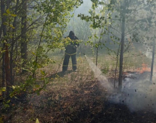 Под Пензой случился пожар на территории кладбища