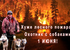 Страшнее лесных пожаров: в Пензе сезон летней охоты откроют на месяц раньше