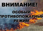 С 1 июня в Пензенской области вводится особый противопожарный режим