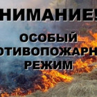С 1 июня в Пензенской области вводится особый противопожарный режим