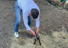 В Пензе директор зоопарка принял роды у козы. ВИДЕО