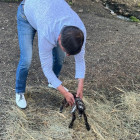 В Пензе директор зоопарка принял роды у козы. ВИДЕО