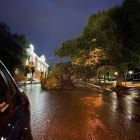 После ночной грозы в Пензе дерево парализовало улицу Володарского 