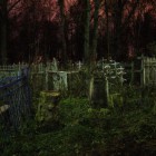 В Пензенской области ветеран совершил ограбление на кладбище