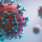 В Пензенской области за сутки выявили 40 новых случаев коронавируса