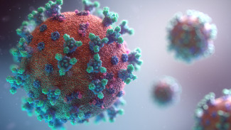 В Пензенской области за сутки выявили 40 новых случаев коронавируса