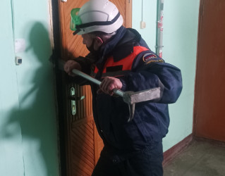 За выходные пензенские спасатели четыре раза выезжали на происшествия
