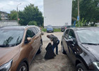 Ленинский район Пензы очистили от мусора и объявлений