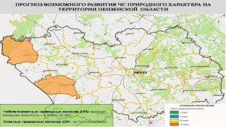 Высокая пожароопасность прогнозируется в двух районах Пензенской области