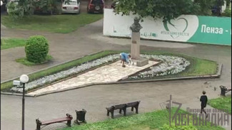 В Пензе задержали мужчину, осквернившего памятник Денису Давыдову