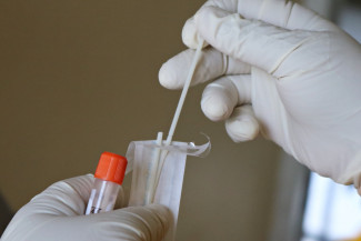 В Пензе, Заречном и 14 районах области выявили коронавирус