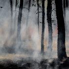 В Пензе начался брифинг, посвященный пожарной опасности в лесах