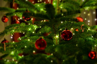Жительницу Пензы обманули при покупке новогодней елки
