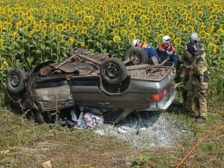 В Пензенской области трупы из изуродованной машины вырезали спасатели. ФОТО
