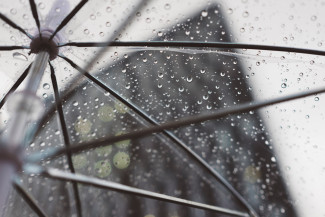 Пензенцев предупреждают о дождях и грозах 11 августа