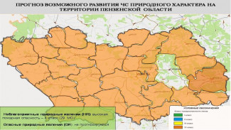 Почти во всех районах Пензенской области ожидается высокая пожароопасность