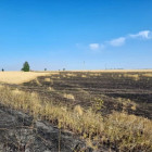 В Пензенской области выгорело поле пшеницы площадью три гектара
