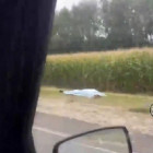 Жуткое ДТП под Пензой: погибший водитель лежит на обочине дороги