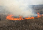 В Пензенской области пожар уничтожил 20 гектаров посевов