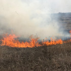 В Пензенской области пожар уничтожил 20 гектаров посевов