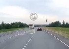 В Пензенской области жуткое ДТП с участием косули попало на видео