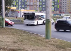 В Пензе в районе Арбеково случилось жесткое ДТП с участие пассажирского автобуса