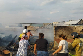 Страшный пожар в селе Средняя Елюзань Пензенской области оставил хозяйку без крова