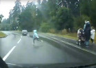 В Пензе под колеса машины бросился маленький ребенок. ВИДЕО