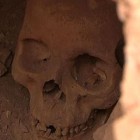 В Бессоновке около церкви обнаружили скелет мужчины, умершего два месяца назад