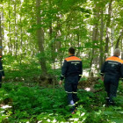 Пензенские спасатели вывели из леса заблудившуюся женщину