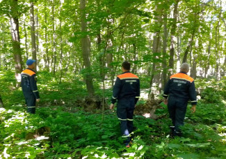 Пензенские спасатели вывели из леса заблудившуюся женщину
